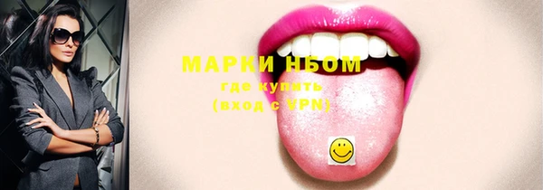 индика Кукмор