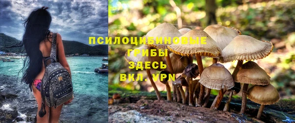 тгк Лагань