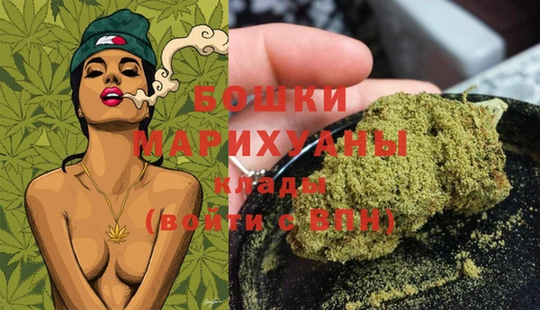 тгк Лагань