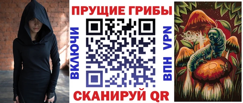 Псилоцибиновые грибы Cubensis  хочу наркоту  Кяхта 